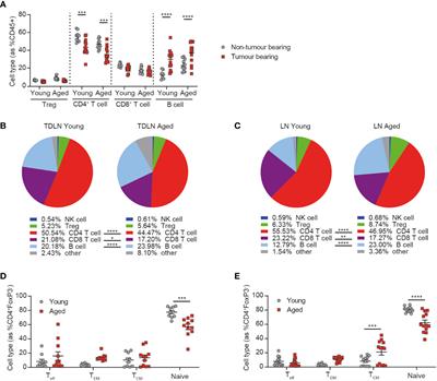 Age-induced changes in anti-tumor immunity alter the tumor immune infiltrate and impact response to immuno-oncology treatments